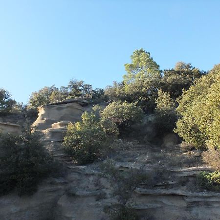 Une Ronce Sous Le Figuier Rousset-les-Vignes エクステリア 写真