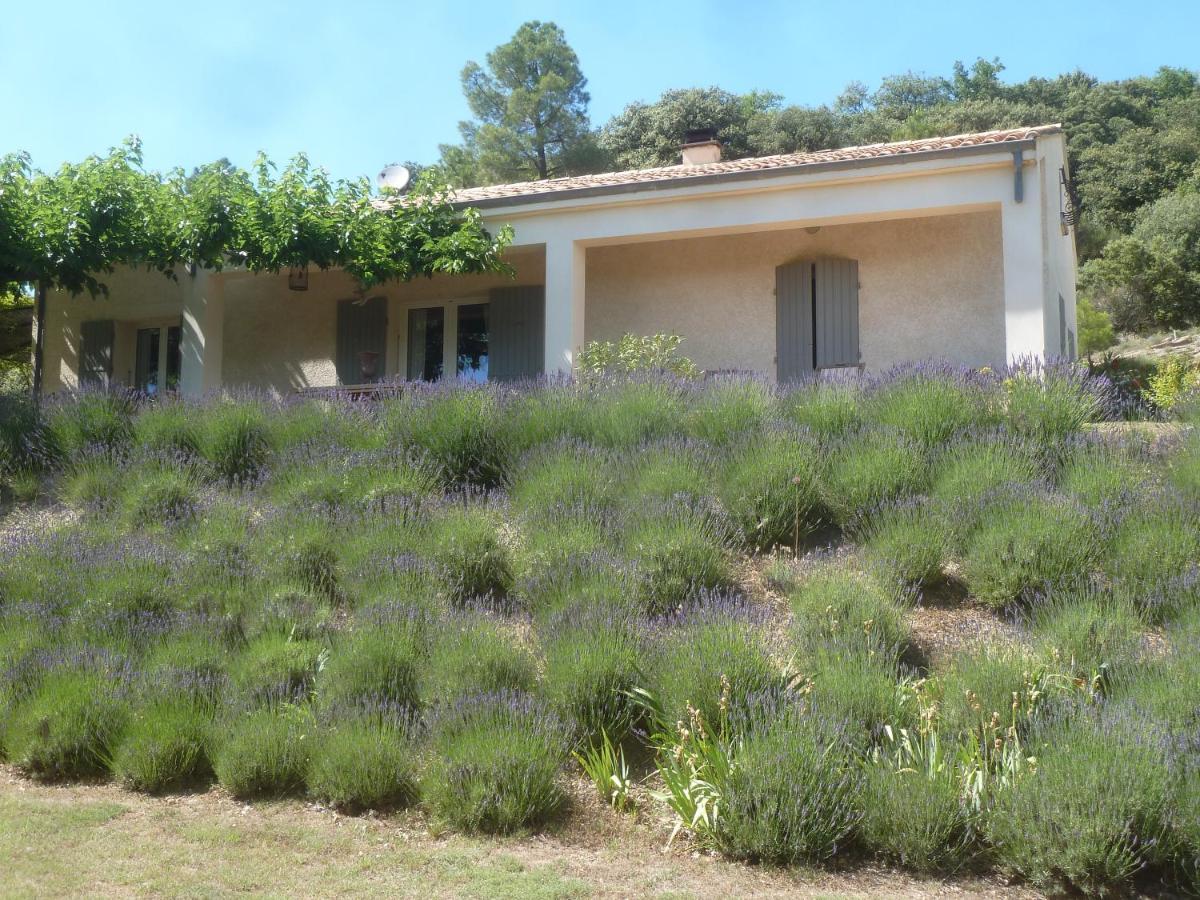 Une Ronce Sous Le Figuier Rousset-les-Vignes エクステリア 写真